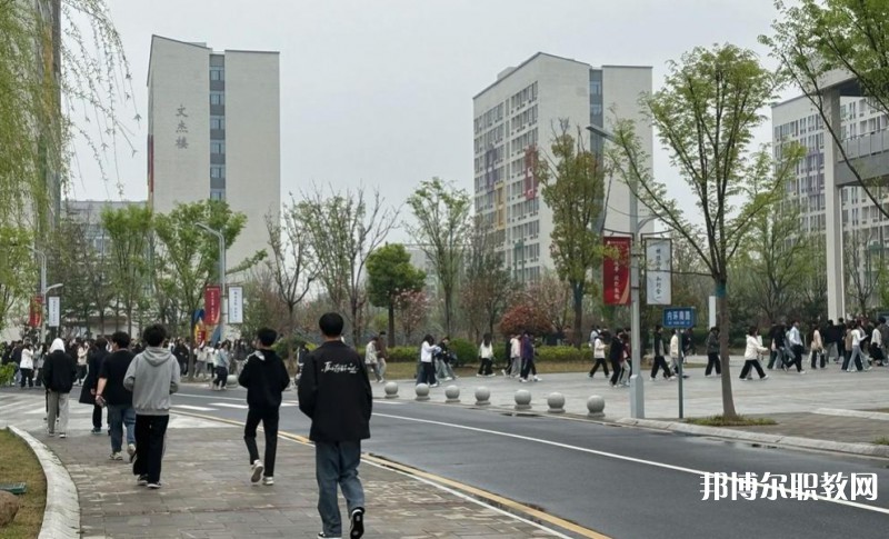2025合肥技師學(xué)院招生計(jì)劃 招生人數(shù)是多少(附要求、條件、對(duì)象)