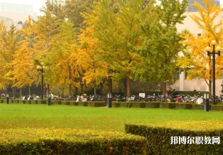 2025濟(jì)寧中專(zhuān)學(xué)校最新排名前三名單